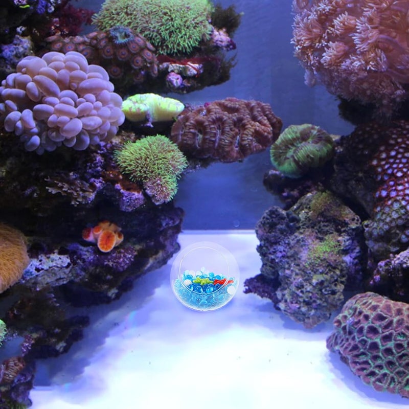 Market need oriented construction COHEALI Mini Glass Aquarium Globe Hideout with 50g White and Ice Blue Glass Pebbles, Red and Green Sea Star Decorations, Betta Fish and Shrimp Shelter for Fish Tank Landscaping KSA standard compatible design - Image 5