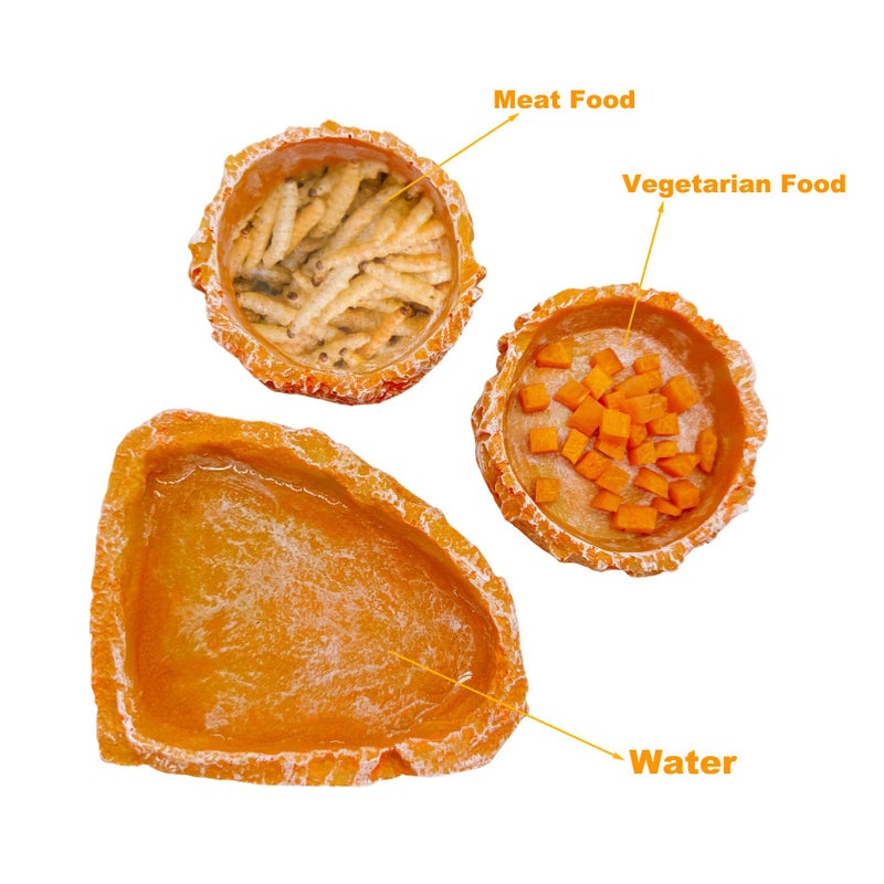 CATDABIR Reptile Water Dish and Food Bowls, 3 Pack Reptile Feeding Terrarium Bowl for Bearded Dragon Lizard Frog Gecko Tortoise Hermit Crab Snail (Orange) - Image 2