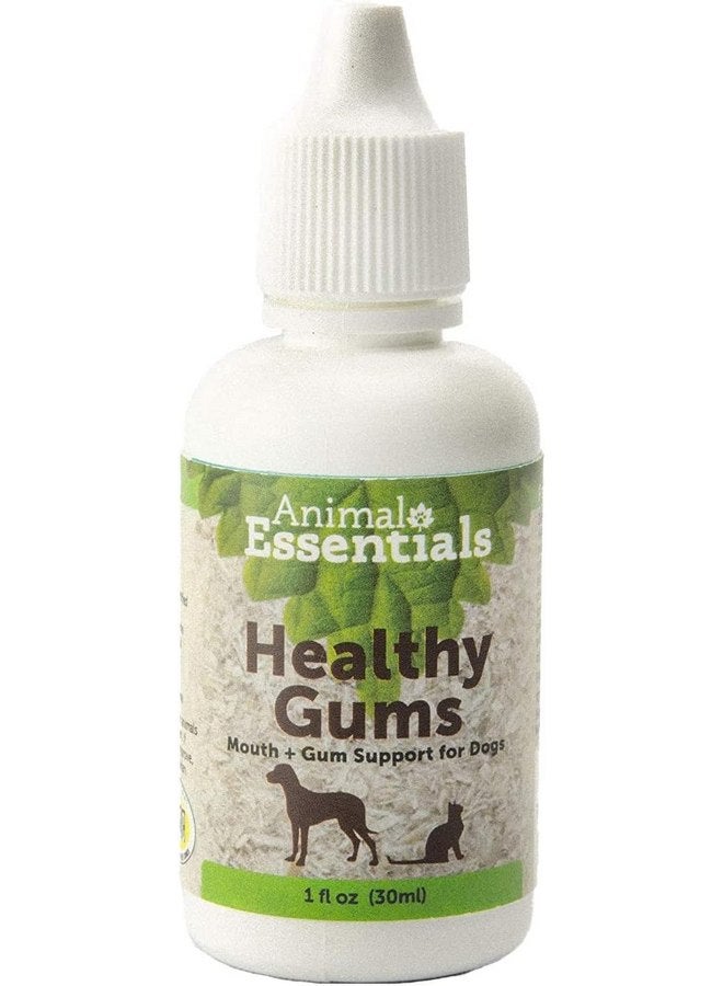 Animal Essentials Healthy Gums for Dogs & Cats - Dental Care, Mouth & Gum Support, Dental Drops, All Natural Pet Supplement, Oral Care - 1 Fl Oz - Image 1