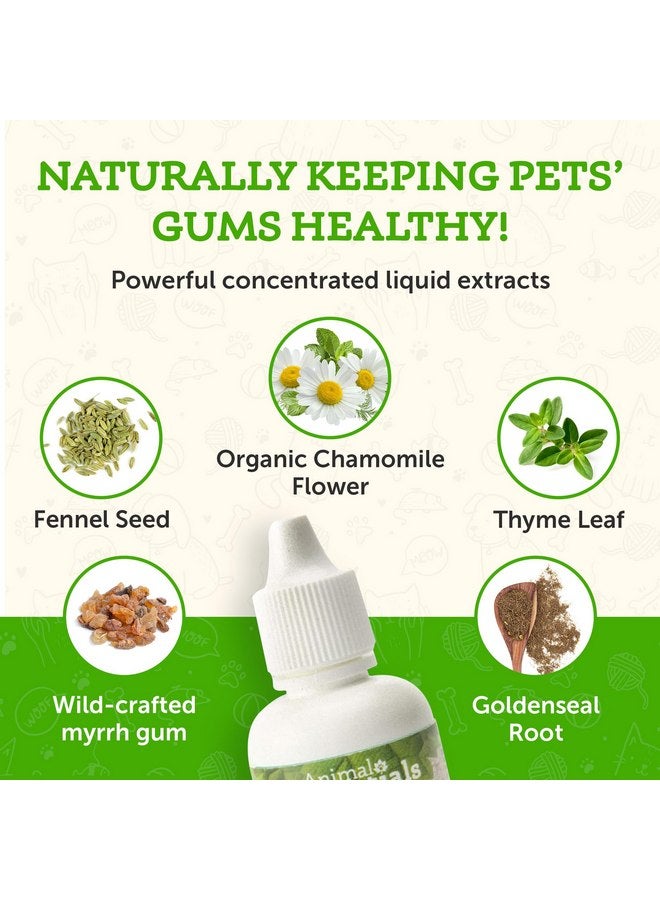 Animal Essentials Healthy Gums for Dogs & Cats - Dental Care, Mouth & Gum Support, Dental Drops, All Natural Pet Supplement, Oral Care - 1 Fl Oz - Image 3