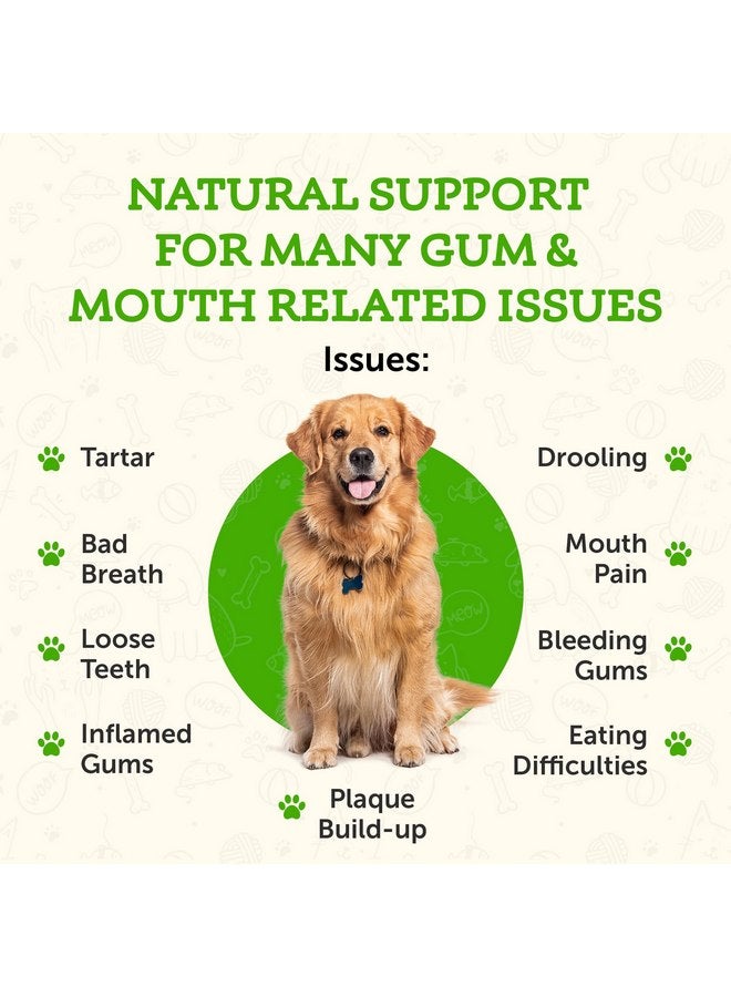 Animal Essentials Healthy Gums for Dogs & Cats - Dental Care, Mouth & Gum Support, Dental Drops, All Natural Pet Supplement, Oral Care - 1 Fl Oz - Image 4