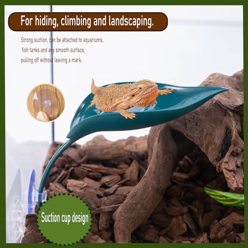 Delllala 3pcs Crested Gecko Hide，Wall Climbing Gecko Toy，Reptile Leaf，Crested Gecko Tank Accessories，Turtle Tank Decorations，Tree Frog Terrarium Accessories (Grass Green) - Image 3