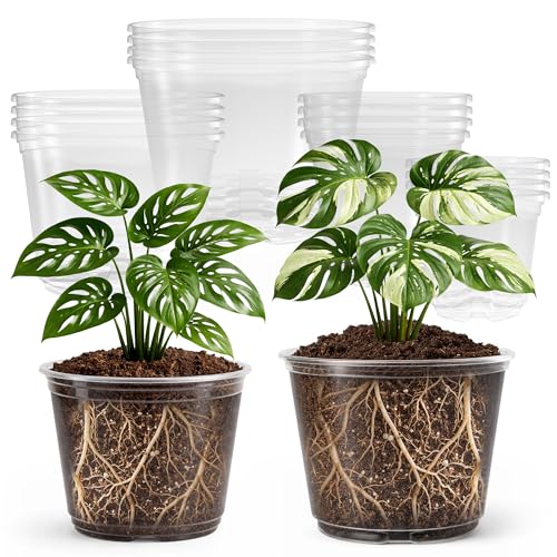 Bluepro 16 Pack 10865 Inch Reinforced Large Clear Nursery Pots with Drainage Holes Transparent Variety Pack Plastic Plant Pot for Vegetable Propagation Root Cutting Seed Starting - Image 1