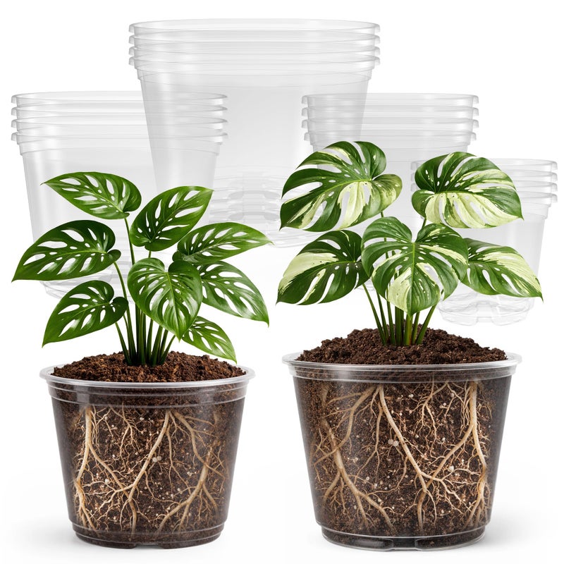 Bluepro 16 Pack 10865 Inch Reinforced Large Clear Nursery Pots with Drainage Holes Transparent Variety Pack Plastic Plant Pot for Vegetable Propagation Root Cutting Seed Starting - Image 2