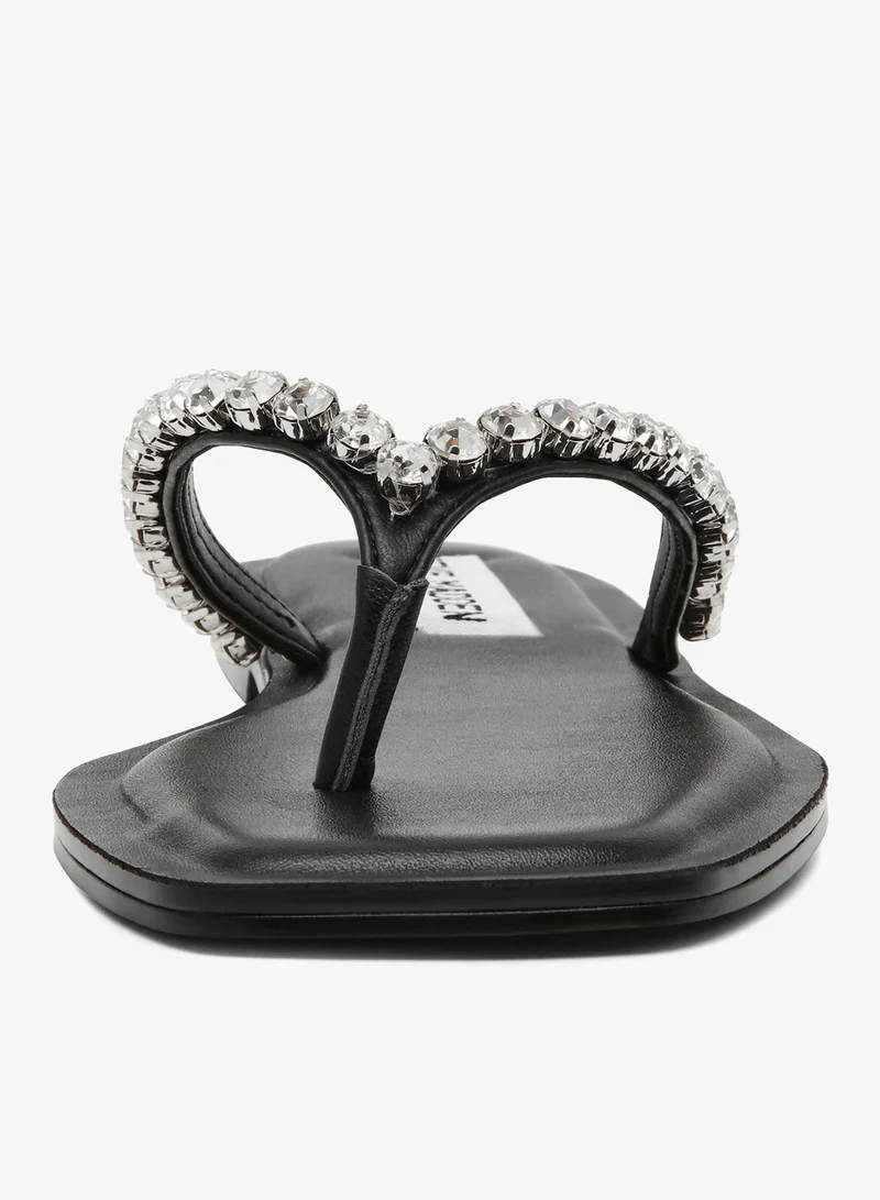 STEVE MADDEN  Casual Flip Flops for Women | Best Price UAE