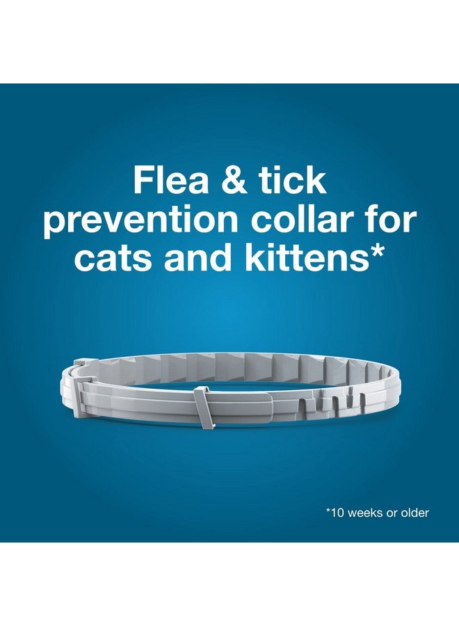 Seresto Cat Vet-Recommended Flea & Tick Treatment & Prevention Collar for Cats | 8 Months Protection - Image 2
