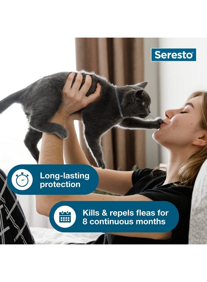Seresto Cat Vet-Recommended Flea & Tick Treatment & Prevention Collar for Cats | 8 Months Protection - Image 4