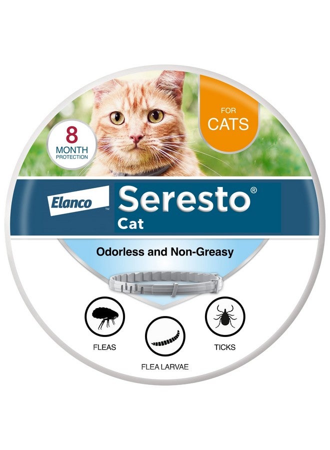 Seresto Cat Vet-Recommended Flea & Tick Treatment & Prevention Collar for Cats | 8 Months Protection - Image 1