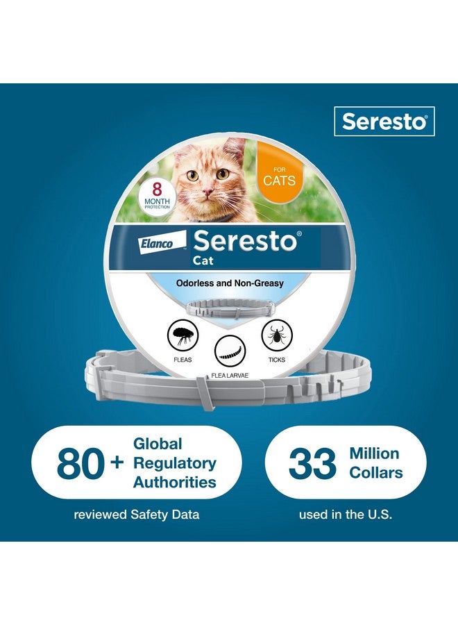Seresto Cat Vet-Recommended Flea & Tick Treatment & Prevention Collar for Cats | 8 Months Protection - Image 5