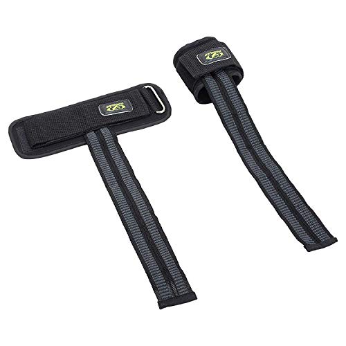 Cougar Weight Lifting Straps for Gym Workout – Padded Cotton Wrist Straps for Deadlift, Strength Training & Bodybuilding – Heavy Duty Pro Grip Support for Men & Women (1 Pair, Black) - Image 2