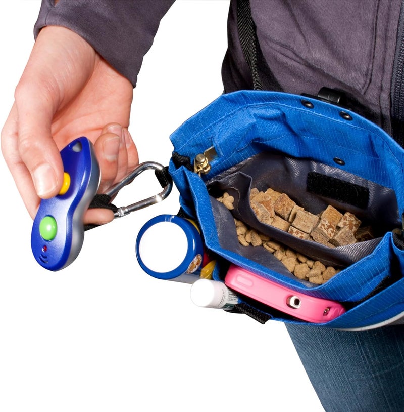 PetSafe Treat Pouch Sport - Durable and Convenient Dog Training Accessory in Cadet Blue - Image 2