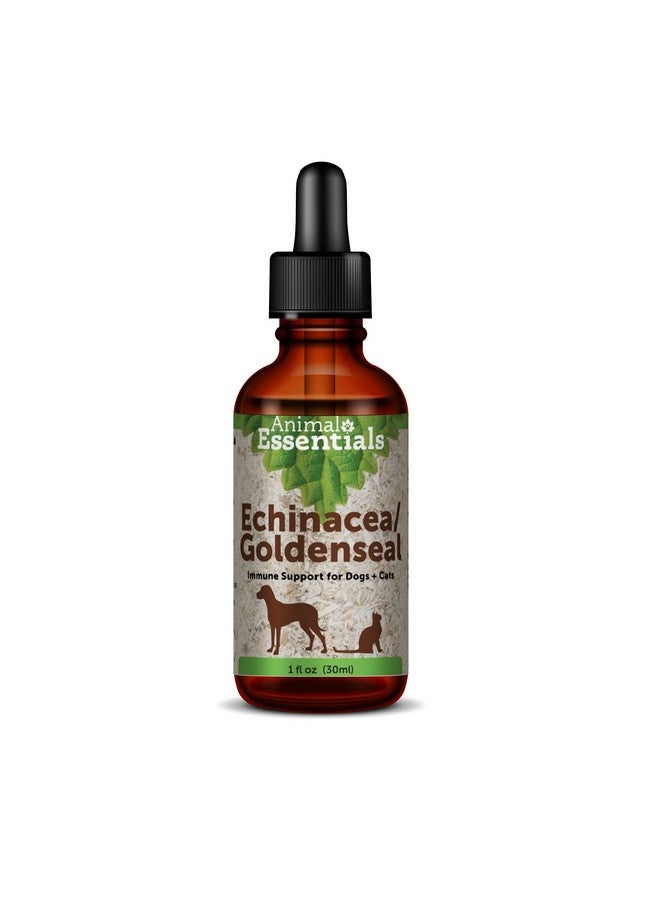 انيمال إيسينشالز إكيناسيا جولدنسيل من Animal Essentials - تركيبة عشبية للكلاب والقطط، لدعم المناعة، أعشاب عضوية 100%، موصى بها من قبل الأطباء البيطريين - 1 أونصة سائلة - Image 1