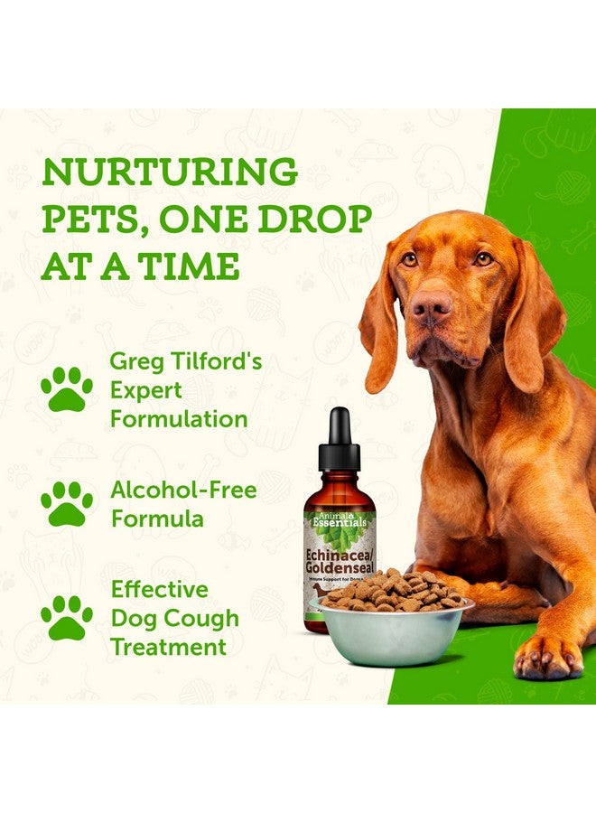 انيمال إيسينشالز إكيناسيا جولدنسيل من Animal Essentials - تركيبة عشبية للكلاب والقطط، لدعم المناعة، أعشاب عضوية 100%، موصى بها من قبل الأطباء البيطريين - 1 أونصة سائلة - Image 2