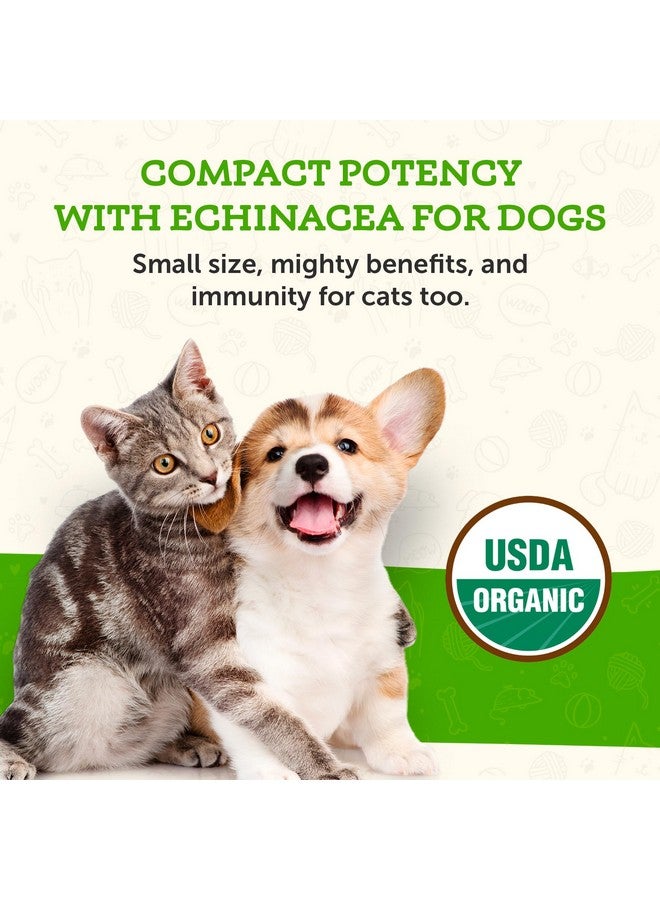 انيمال إيسينشالز إكيناسيا جولدنسيل من Animal Essentials - تركيبة عشبية للكلاب والقطط، لدعم المناعة، أعشاب عضوية 100%، موصى بها من قبل الأطباء البيطريين - 1 أونصة سائلة - Image 3