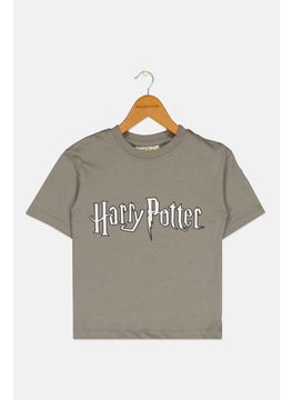 Harry Potter Toddlers Boy Short Sleeves Brand Logo T-Shirt, Grey  - Image 1