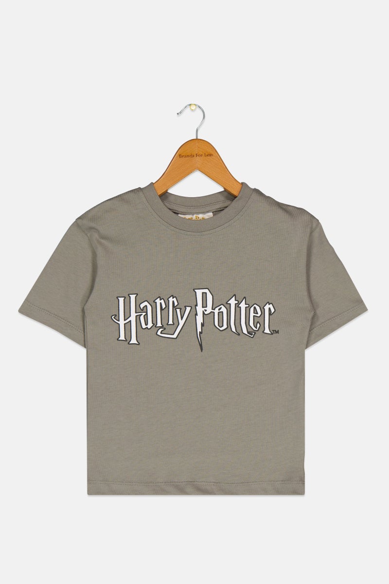 Harry Potter Toddlers Boy Short Sleeves Brand Logo T-Shirt, Grey - Image 1