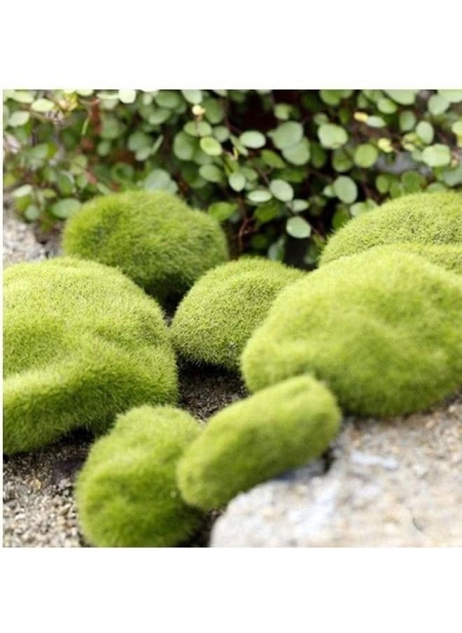 Generic 12 Pcs Green Artificial Moss Stone Fake Micro Landscape Decor Accessories  - Image 4