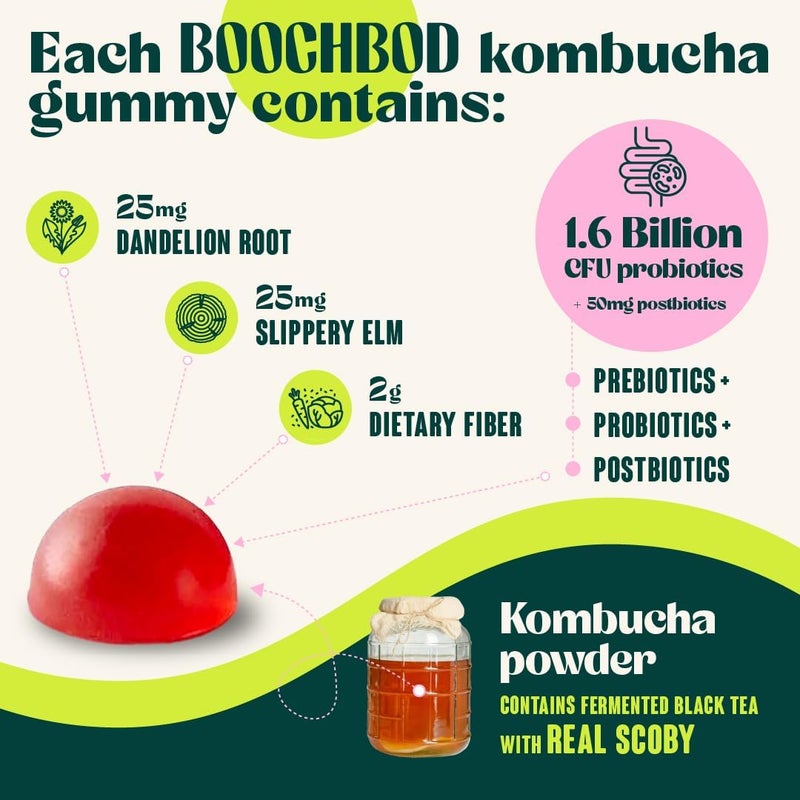 BoochBod جومي بروبيوتيك كومبوتشا مع بروبيوتيك وبريبايوتيك وبوستبايوتيك ومكمل ألياف وزيت إم سي تي لصحة الأمعاء والانتفاخ بروبيوتيك للنساء وبروبيوتيك للرجال - Image 3
