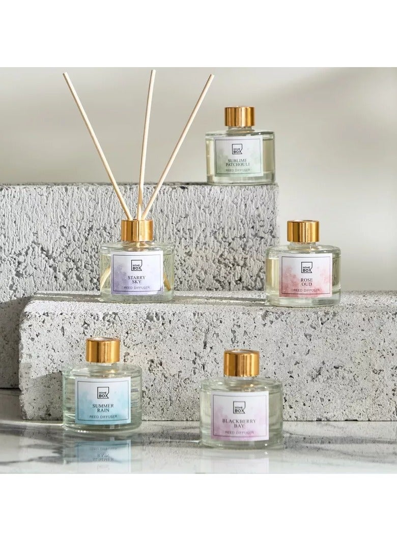 Home Box Garden Blackberry Bay Reed Diffuser - 100 ml  - Image 4