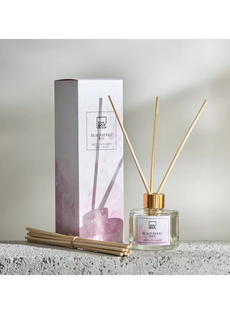 Home Box Garden Blackberry Bay Reed Diffuser - 100 ml  - Image 1