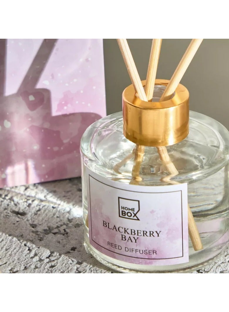 Home Box Garden Blackberry Bay Reed Diffuser - 100 ml  - Image 3