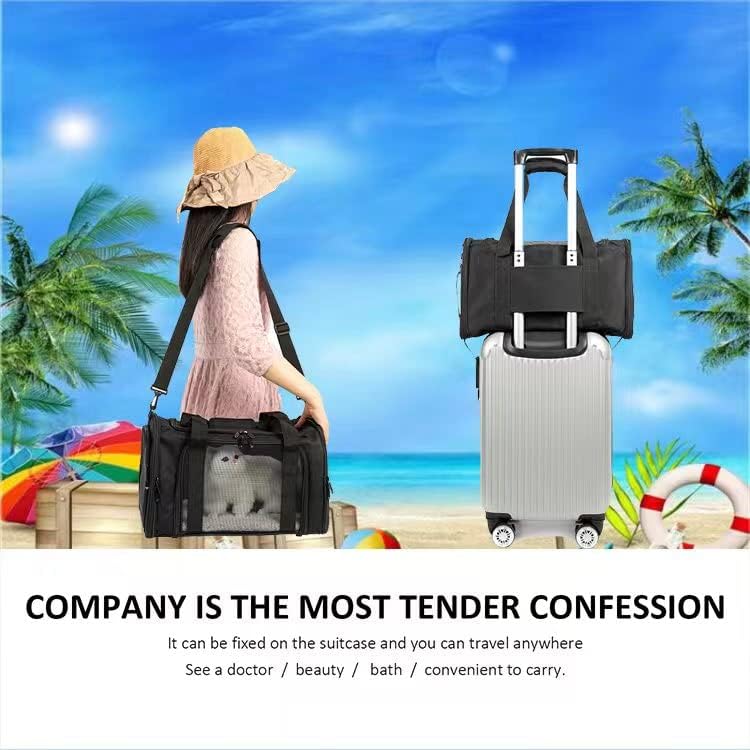 ROSEBB Cat Carrier Dog Carrier Pet Carrier Cat Bags for Small Medium Cats Dogs Puppies of 15 Lbs,of Airline Approved Small Dog Bag Soft Sided,Collapsible Travel Puppy Carrier (Medium, Black) - Image 4