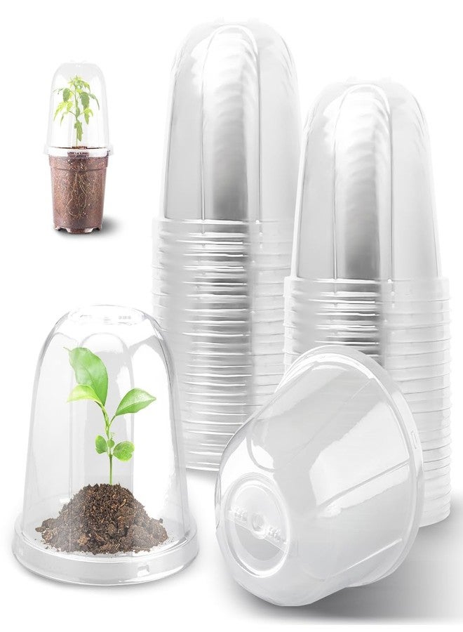 RooTrimmer 6 Inch Clear Plastic Humidity Dome, 30 Pcs Adjustable Transparent Plant Domes for 6" Seedlings Nursery Pots, Reusable Thick Plastic Grow Dome Cover for Seed Starter Pots Outdoor Gardening Plant Growth - Image 1