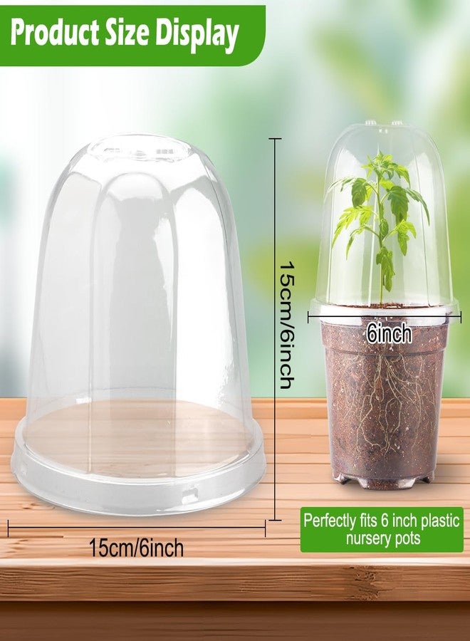 RooTrimmer 6 Inch Clear Plastic Humidity Dome, 30 Pcs Adjustable Transparent Plant Domes for 6" Seedlings Nursery Pots, Reusable Thick Plastic Grow Dome Cover for Seed Starter Pots Outdoor Gardening Plant Growth - Image 5
