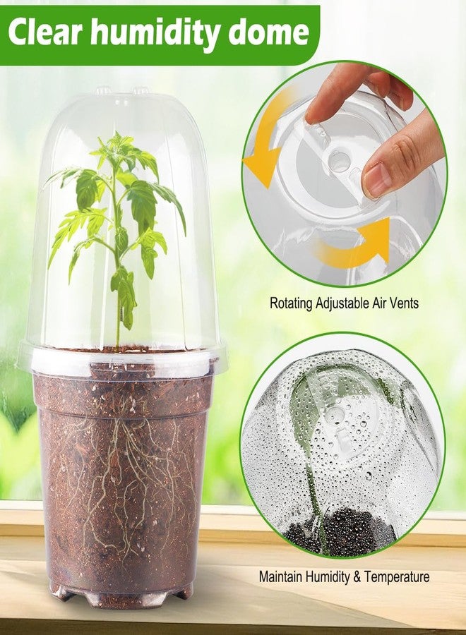 RooTrimmer 6 Inch Clear Plastic Humidity Dome, 30 Pcs Adjustable Transparent Plant Domes for 6" Seedlings Nursery Pots, Reusable Thick Plastic Grow Dome Cover for Seed Starter Pots Outdoor Gardening Plant Growth - Image 2