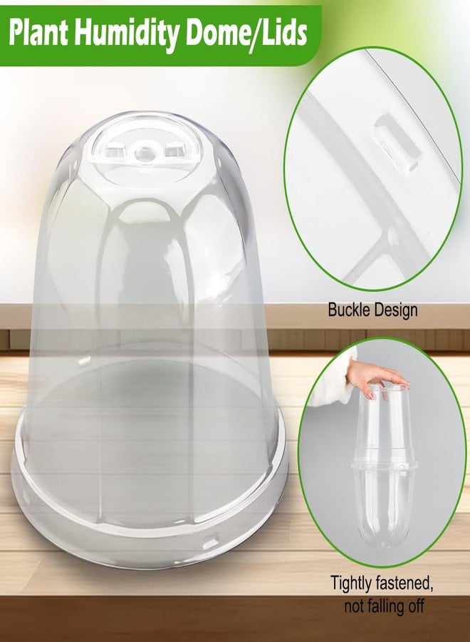 RooTrimmer 6 Inch Clear Plastic Humidity Dome, 30 Pcs Adjustable Transparent Plant Domes for 6" Seedlings Nursery Pots, Reusable Thick Plastic Grow Dome Cover for Seed Starter Pots Outdoor Gardening Plant Growth - Image 4