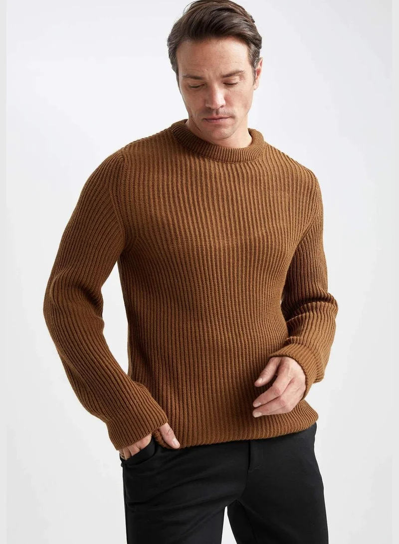 DeFacto Man Slim Fit Crew Neck Long Sleeve Tricot Pullover