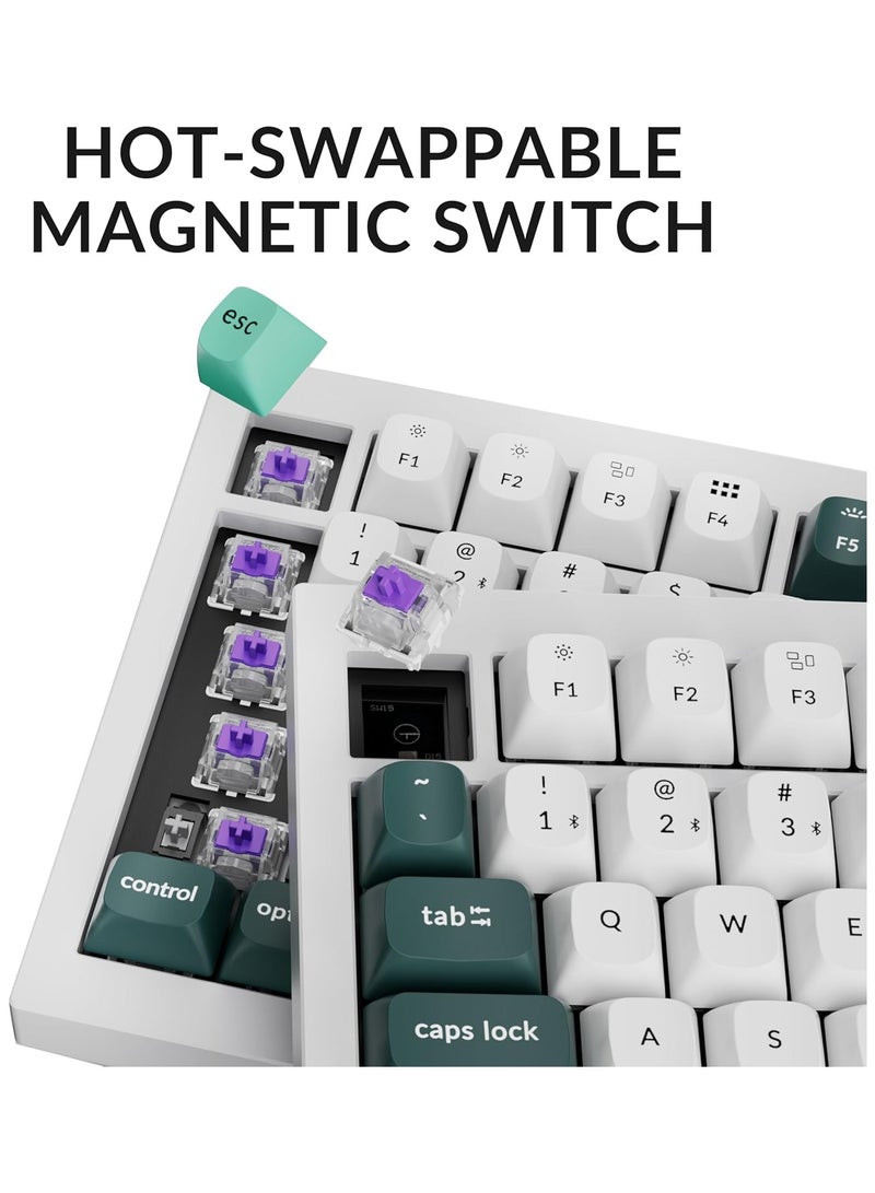 Keychron Q1 HE 75% layout 2.4 GHz QMK Wireless Custom Keyboard Hot swappable Gateron double rail magnetic switches Bluetooth USB-C wired Double shot PBT Keycaps RGB Backlight Knob version Compatible with Mac & Windows  - Image 4