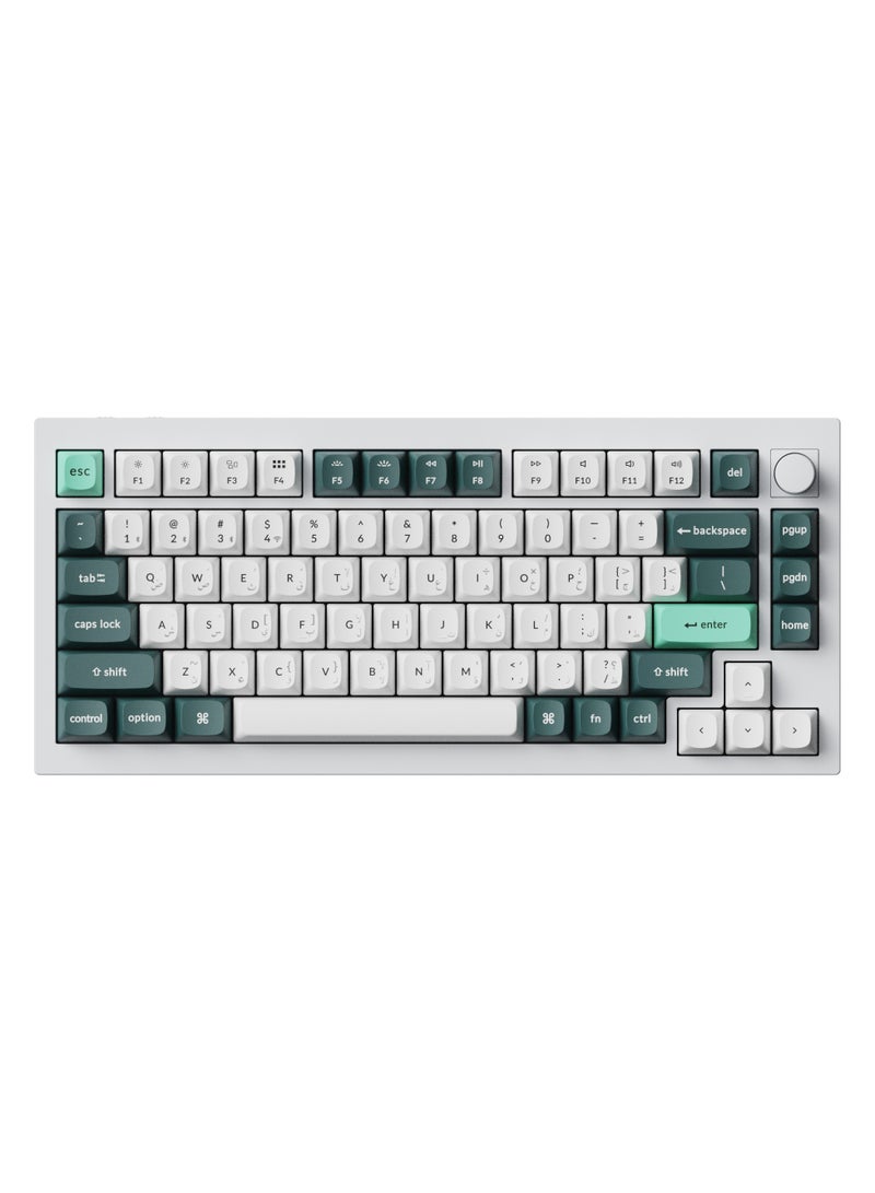 Keychron Q1 HE 75% layout 2.4 GHz QMK Wireless Custom Keyboard Hot swappable Gateron double rail magnetic switches Bluetooth USB-C wired Double shot PBT Keycaps RGB Backlight Knob version Compatible with Mac & Windows  - Image 1