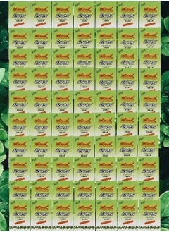 Pyary 70 Pieces Ayurvedic Soap Tumeric 