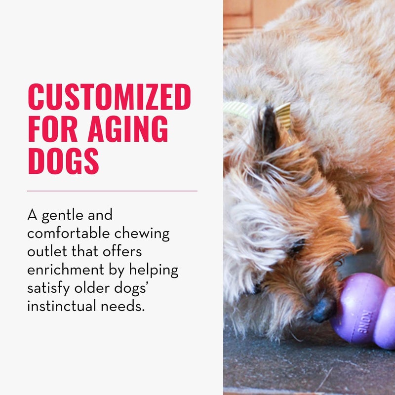 KONG Senior - Dog Toy with Gentle, Natural Rubber - Durable Dog Toy for Older Dogs - Use Treats with Stuffable Chew Toy - Treat Toy for Chewing & Fetching - for Large Dogs - Image 2