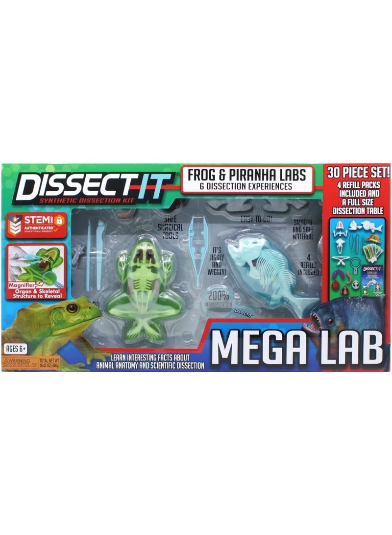Slimy Lab Dissect It Synthetic Dissection Kit - Piranha And Frog 38084 - Image 1