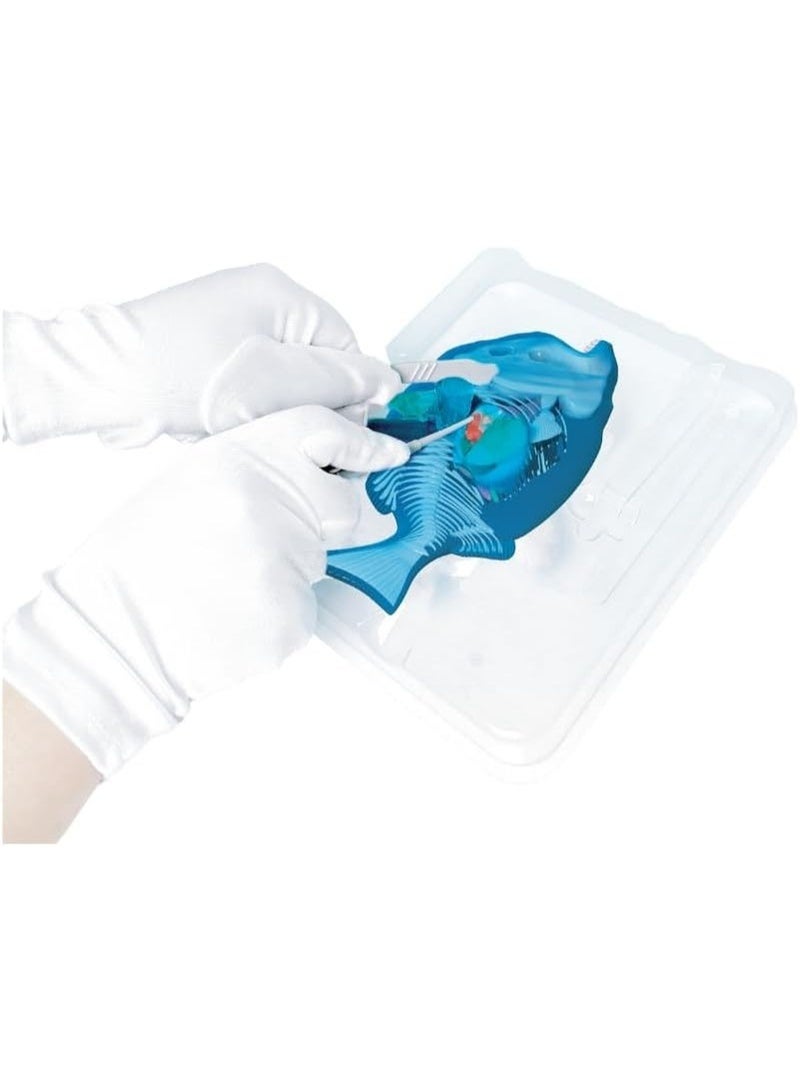 Slimy Lab Dissect It Synthetic Dissection Kit - Piranha And Frog 38084 - Image 3