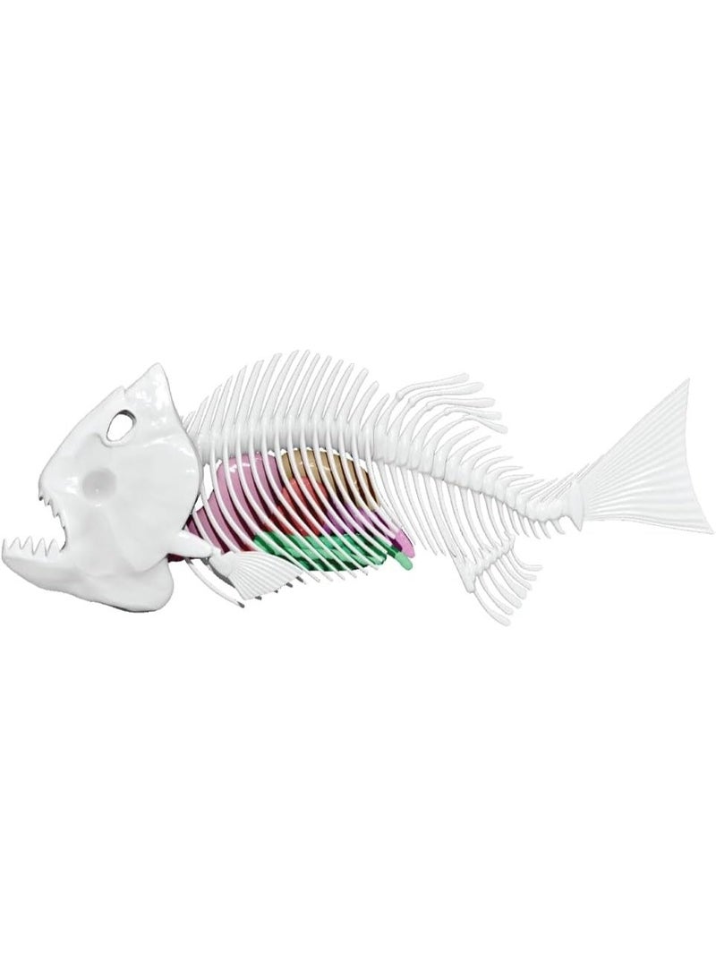 Slimy Lab Dissect It Synthetic Dissection Kit - Piranha And Frog 38084 - Image 4