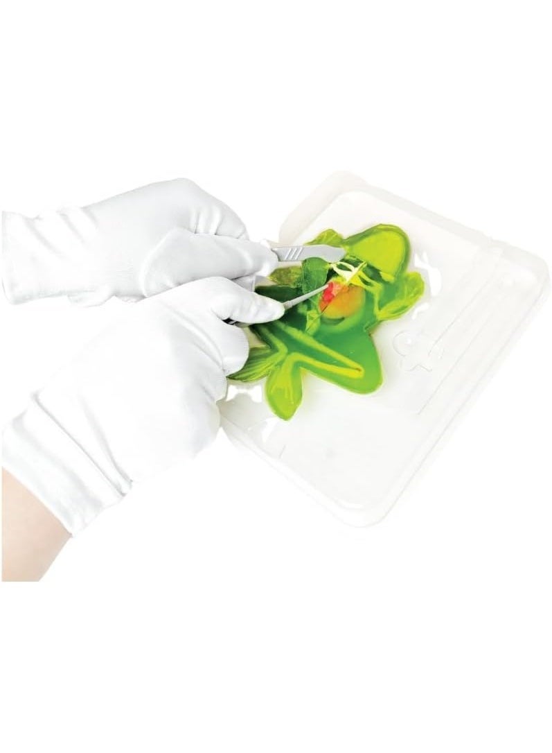 Slimy Lab Dissect It Synthetic Dissection Kit - Piranha And Frog 38084 - Image 2