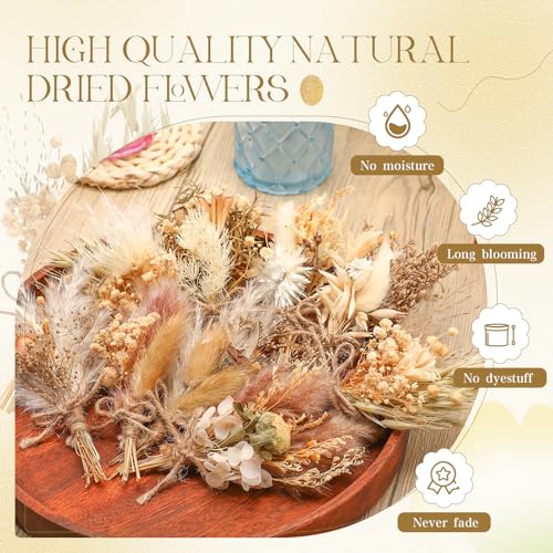 Layhit 12 Pack Boho Dried Flower Bouquet Mini Wedding Handmade Dry Flowers Decor for Vase Crafts DIY Photo Boutonniere for Men Floral Plant for Bridesmaid Gift Birthday Decor - Image 3
