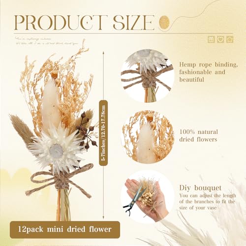 Layhit 12 Pack Boho Dried Flower Bouquet Mini Wedding Handmade Dry Flowers Decor for Vase Crafts DIY Photo Boutonniere for Men Floral Plant for Bridesmaid Gift Birthday Decor - Image 2