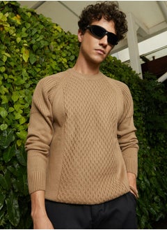 Campus Sutra Men's Camel Beige Hive-Knit Pullover Sweater  - Image 1