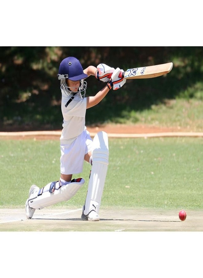 NEWNESS ATULUX Premium Red Leather Cricket Ball for Practice | A-Grade Hand-Stitched Cricket Ball for Indoor and Outdoor Training (Pack of 1) - Image 3