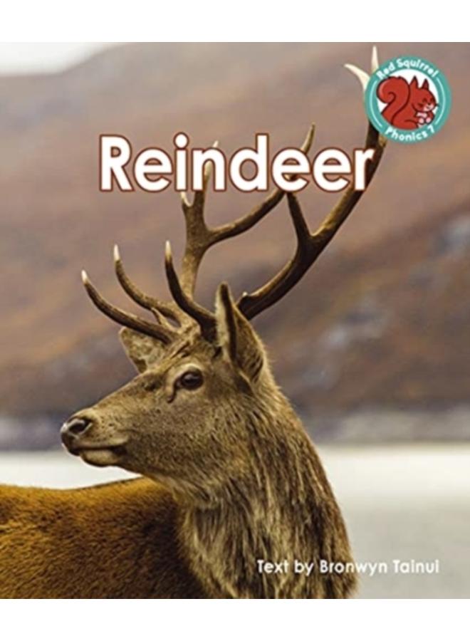Reindeer 
