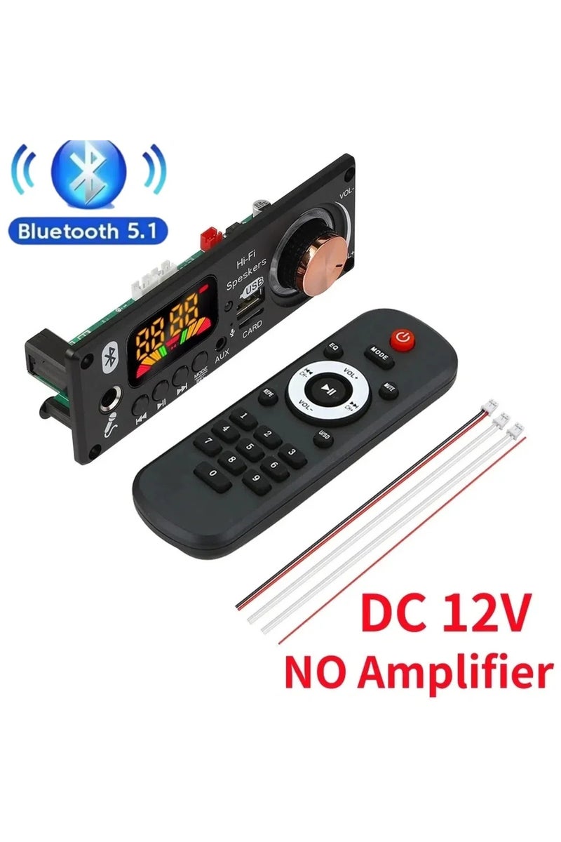 erorex No Amp DC 12V 200W Amplifier Bluetooth 5.3 DIY MP3 WAV Decoder Board DC 12V 50W 100W Wireless Car US