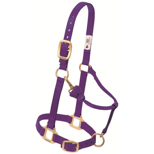 Weaver Leather Original Adjustable Nylon Horse Halter, Purple, Arabian/Cob - Image 1