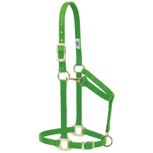 Weaver Leather Original Adjustable Nylon Horse Halter, Purple, Arabian/Cob - Image 4