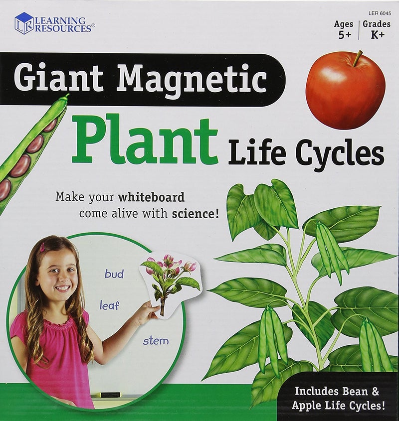 Learning Resources Giant Magnetic Plant Life Cycle - STEM Growing Seed, Montessori Tree , Biology Cards, Classroom Teacher Must Haves Activities, Science Homeschool Essentials, Gifts for Students - Image 1