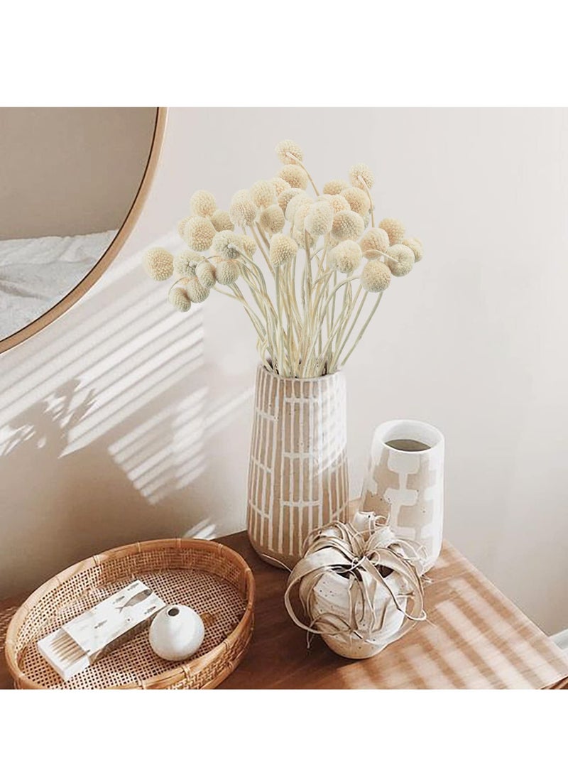 زهور كراسبيديا المجففة، 20 قطعة من كرات زهور بيلي باتون المجففة لتزيين المنزل والمكتب والحفلات وترتيبات الزهور للمناسبات والزفاف وديكور استحمام الأطفال بوهو - Image 2