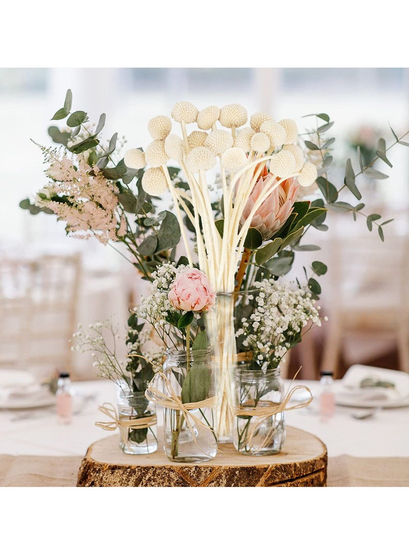 زهور كراسبيديا المجففة، 20 قطعة من كرات زهور بيلي باتون المجففة لتزيين المنزل والمكتب والحفلات وترتيبات الزهور للمناسبات والزفاف وديكور استحمام الأطفال بوهو - Image 3